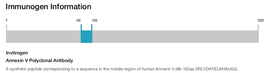Annexin V Polyclonal Antibody