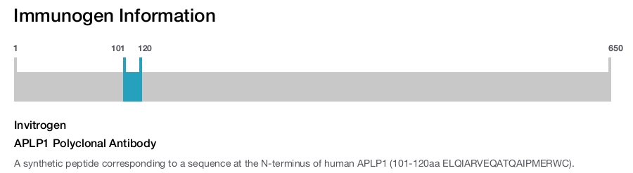 APLP1 Polyclonal Antibody