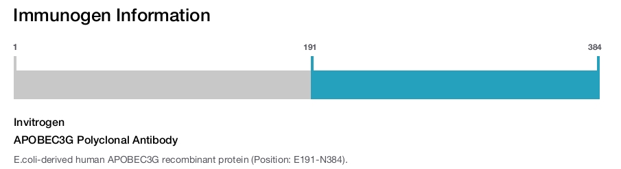 APOBEC3G Polyclonal Antibody