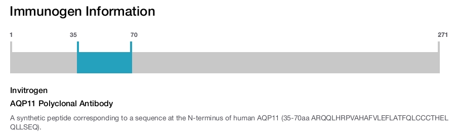AQP11 Polyclonal Antibody