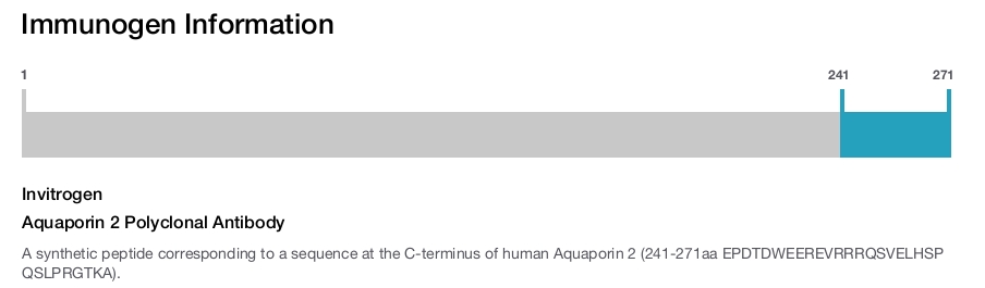 Aquaporin 2 Polyclonal Antibody