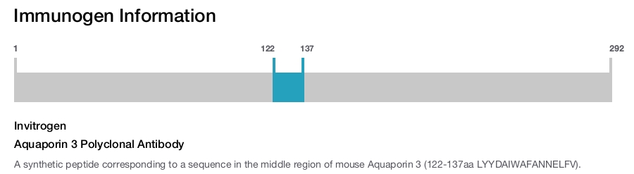 Aquaporin 3 Polyclonal Antibody