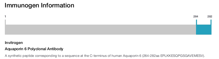 Aquaporin 6 Polyclonal Antibody