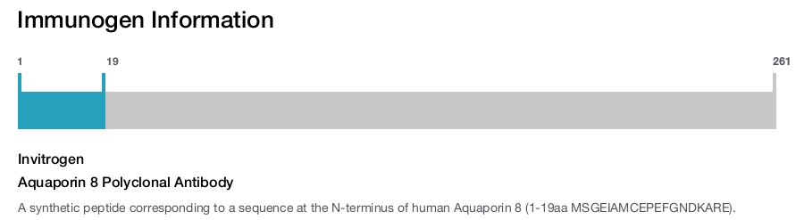 Aquaporin 8 Polyclonal Antibody