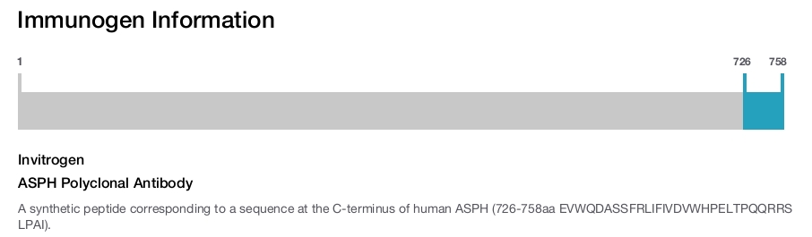 ASPH Polyclonal Antibody