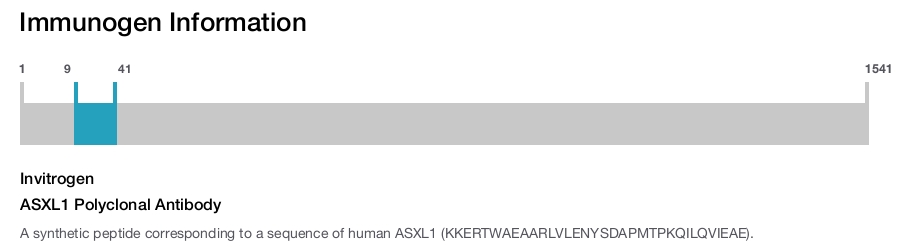 ASXL1 Polyclonal Antibody