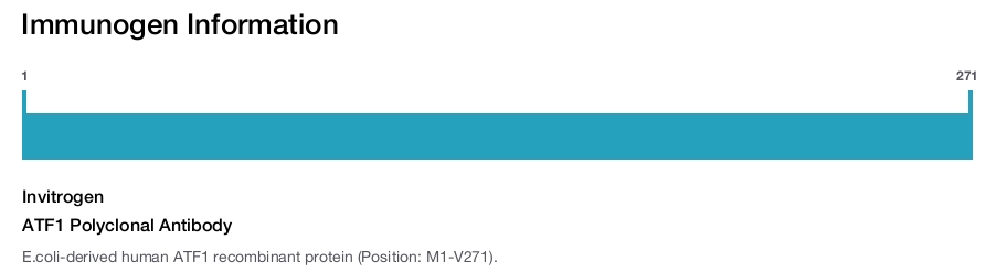 ATF1 Polyclonal Antibody