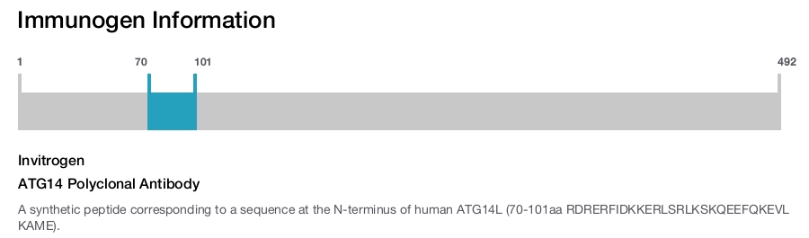ATG14 Polyclonal Antibody