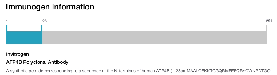 ATP4B Polyclonal Antibody