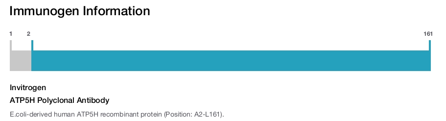 ATP5H Polyclonal Antibody