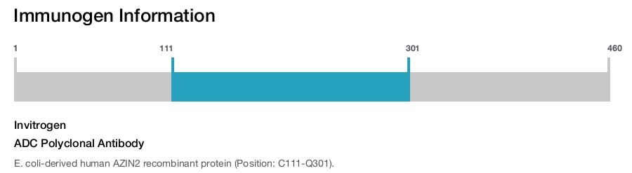 ADC Polyclonal Antibody