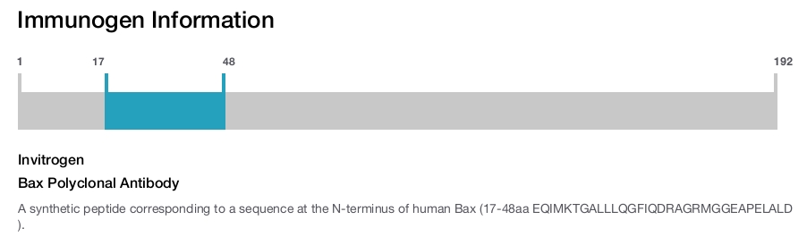 Bax Polyclonal Antibody