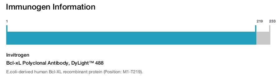 Bcl-xL Polyclonal Antibody, DyLight™ 488