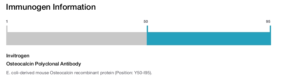 Osteocalcin Polyclonal Antibody
