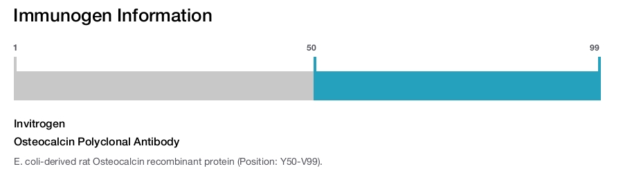 Osteocalcin Polyclonal Antibody
