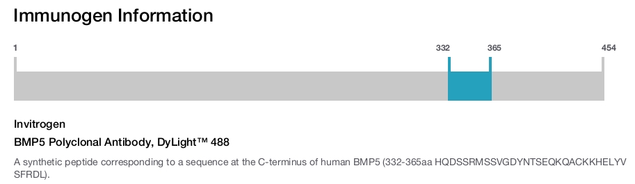 BMP5 Polyclonal Antibody, DyLight™ 488