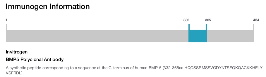 BMP5 Polyclonal Antibody