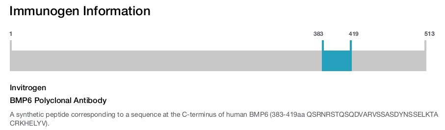 BMP6 Polyclonal Antibody