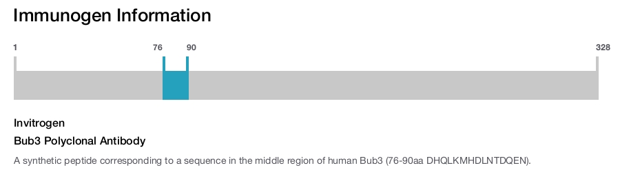 Bub3 Polyclonal Antibody