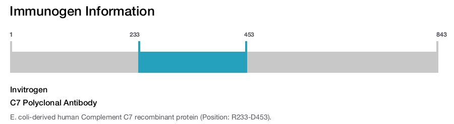 C7 Polyclonal Antibody