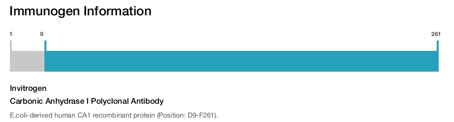 Carbonic Anhydrase I Polyclonal Antibody