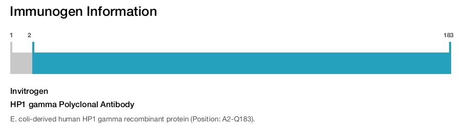 HP1 gamma Polyclonal Antibody