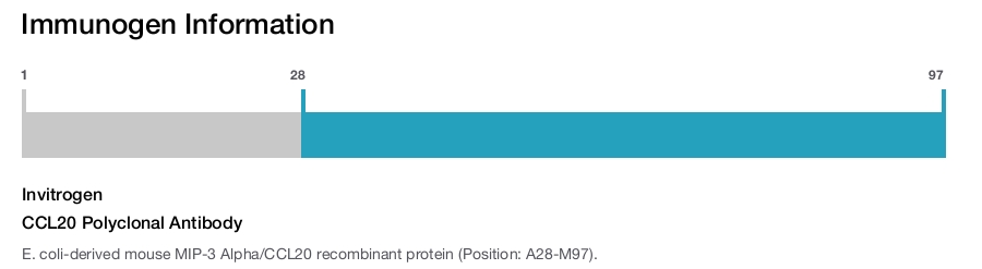 CCL20 Polyclonal Antibody