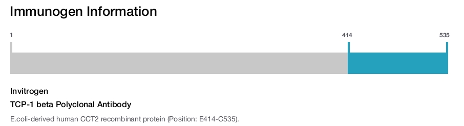 TCP-1 beta Polyclonal Antibody