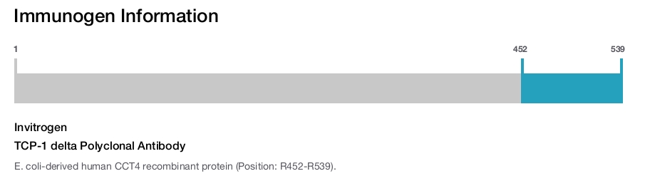 TCP-1 delta Polyclonal Antibody