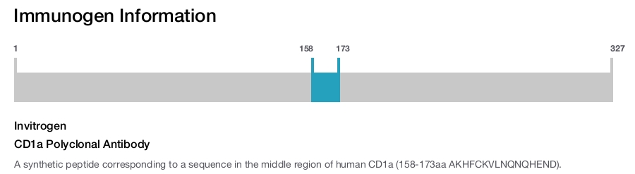 CD1a Polyclonal Antibody