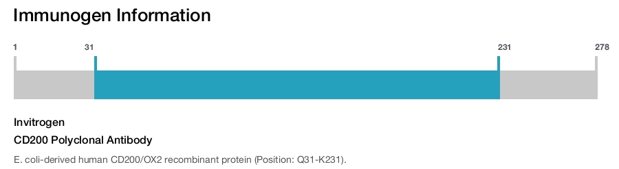CD200 Polyclonal Antibody