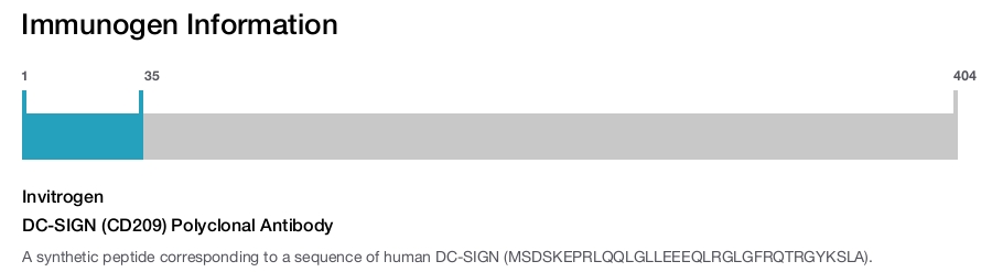 DC-SIGN (CD209) Polyclonal Antibody
