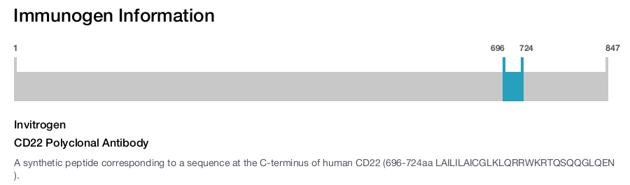CD22 Polyclonal Antibody