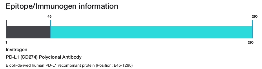 PD-L1 (CD274) Polyclonal Antibody