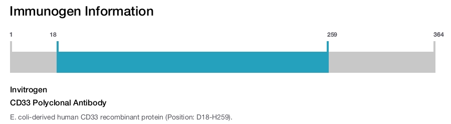 CD33 Polyclonal Antibody
