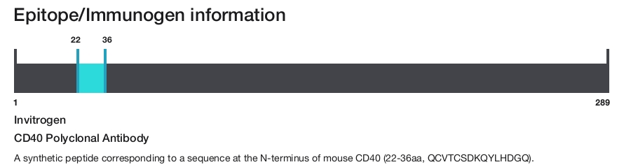 CD40 Polyclonal Antibody