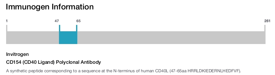CD154 (CD40 Ligand) Polyclonal Antibody