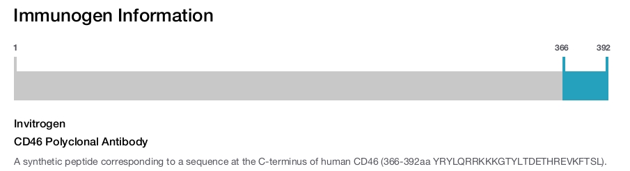 CD46 Polyclonal Antibody