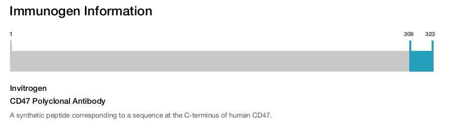 CD47 Polyclonal Antibody
