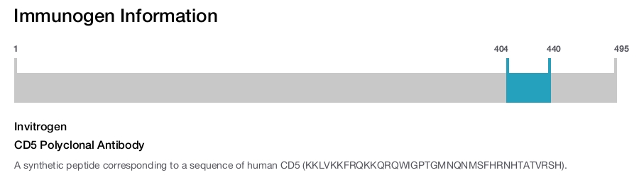 CD5 Polyclonal Antibody