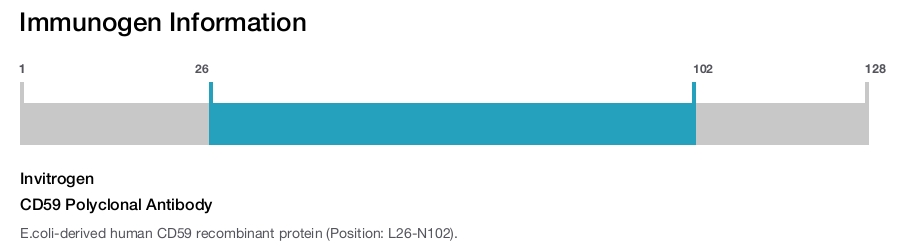 CD59 Polyclonal Antibody