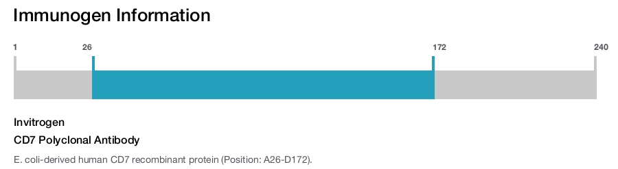 CD7 Polyclonal Antibody