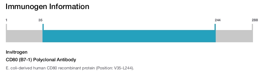 CD80 (B7-1) Polyclonal Antibody