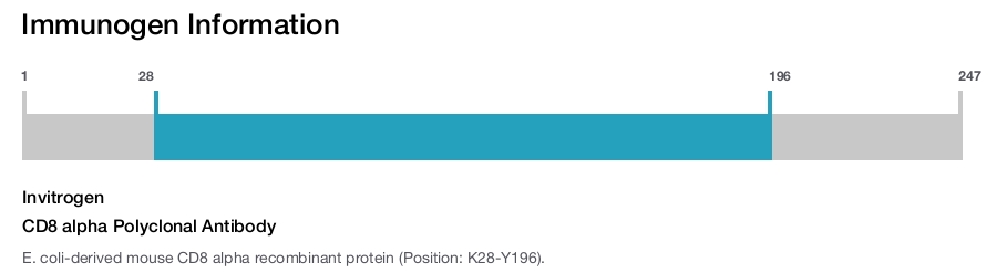 CD8 alpha Polyclonal Antibody