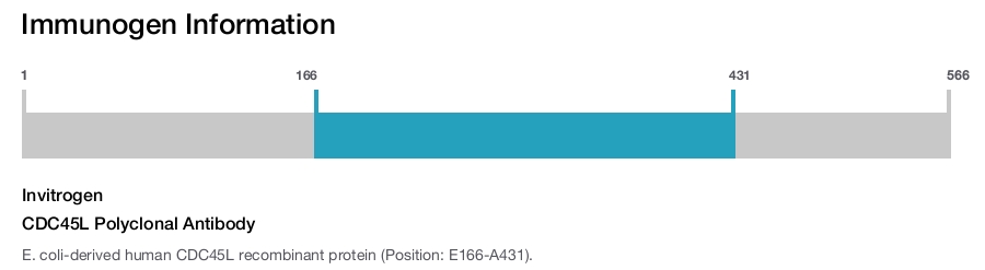CDC45L Polyclonal Antibody