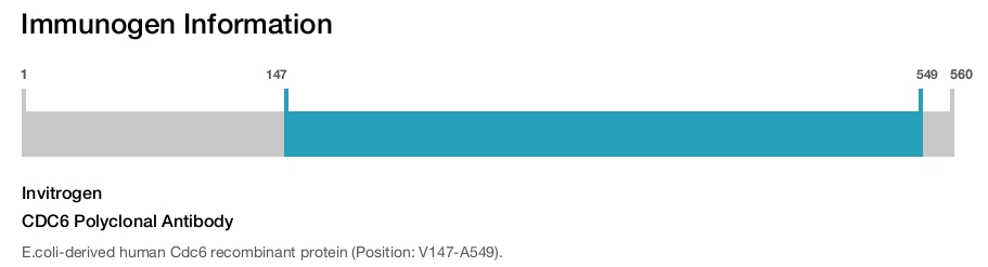 CDC6 Polyclonal Antibody