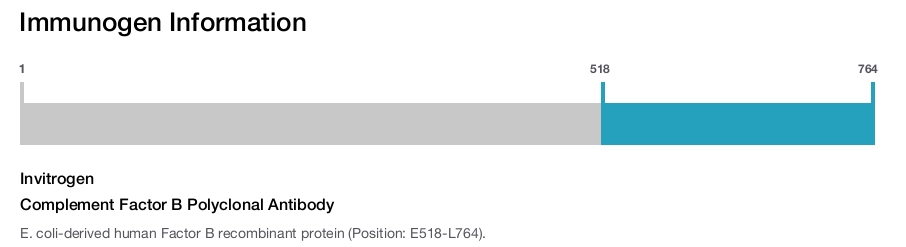 Complement Factor B Polyclonal Antibody