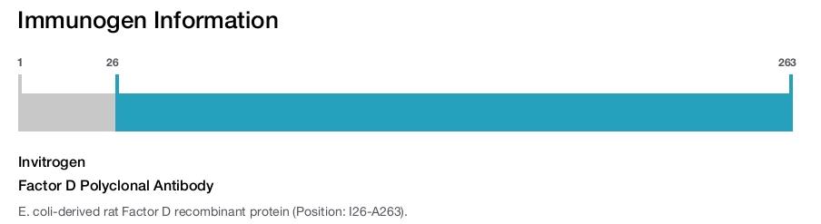 Factor D Polyclonal Antibody