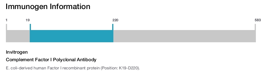 Complement Factor I Polyclonal Antibody