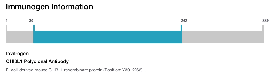 CHI3L1 Polyclonal Antibody